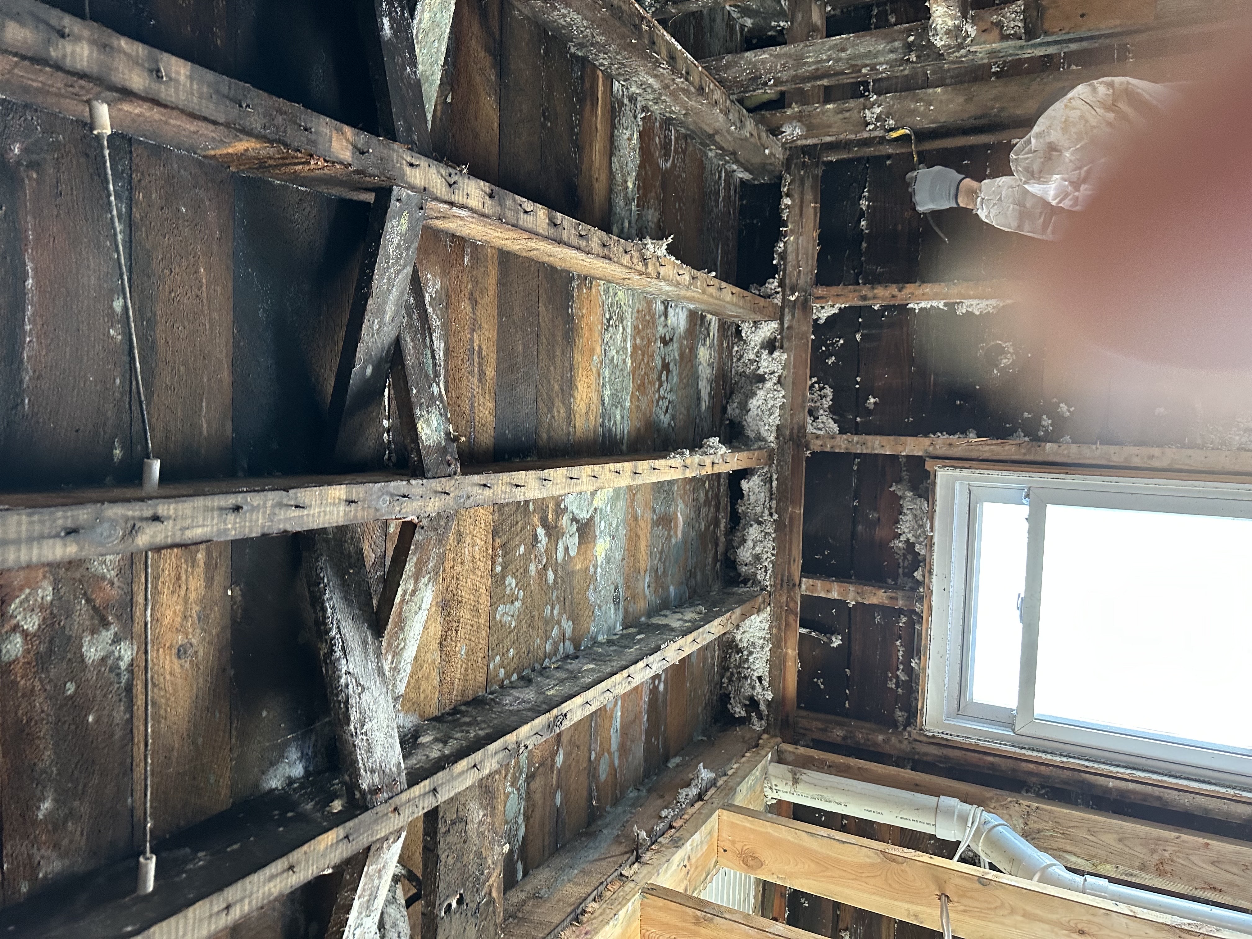 Structural Drying in Scott County, Minnesota - Water Damage Cleanup .AI CORP | American Restores Group